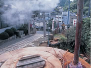 Arima Hot Springs